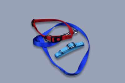 OUTLET collars and leashes