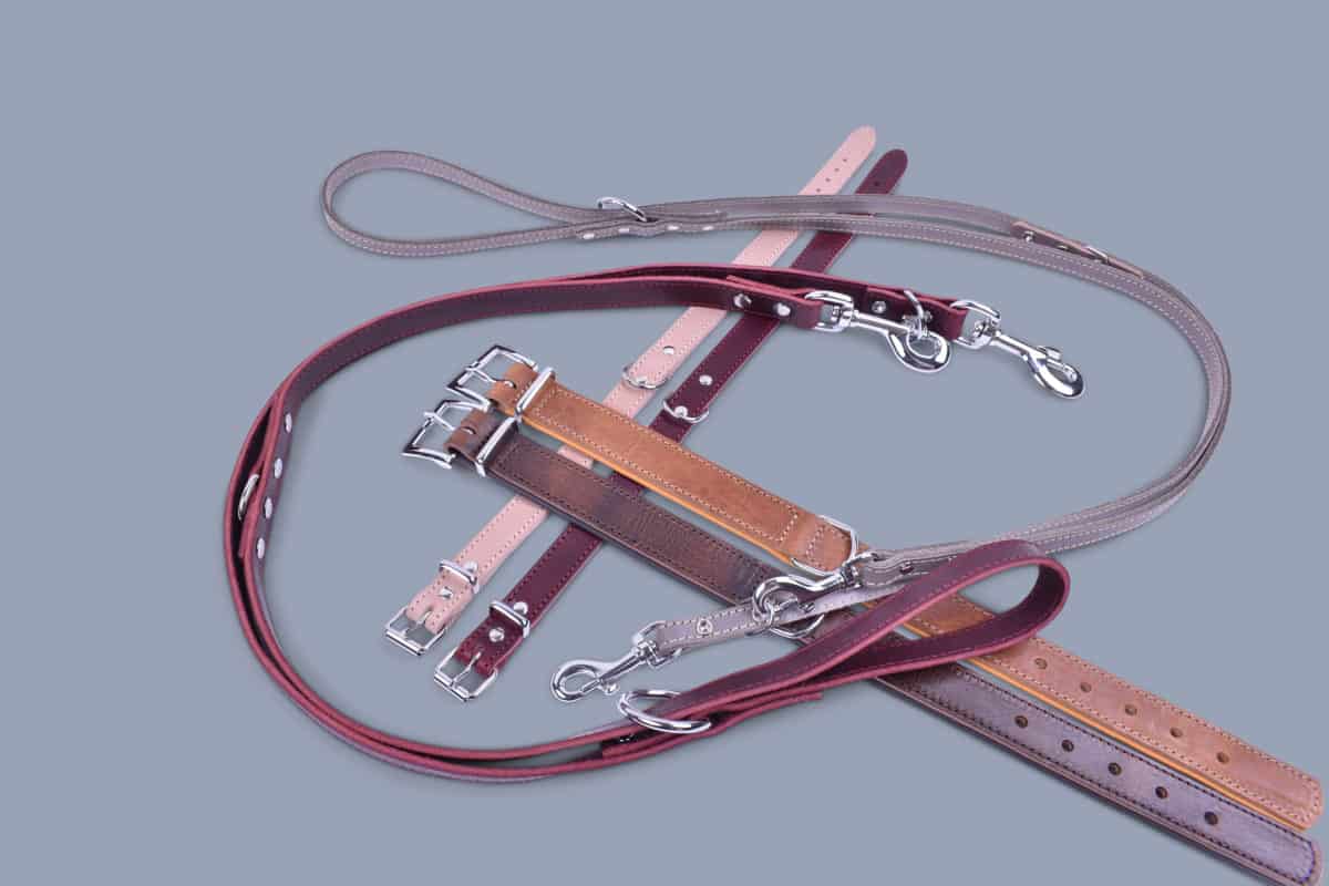 Leather collars and leashes